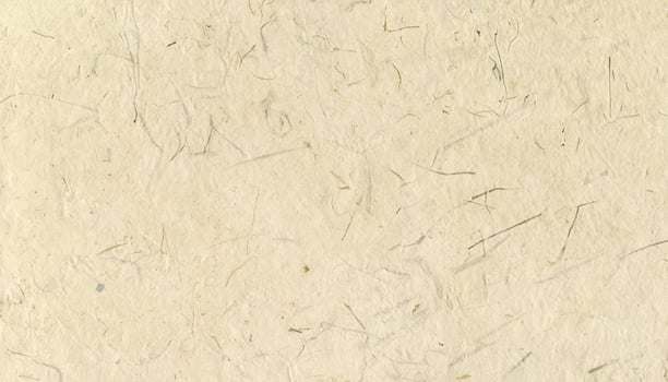 Natural Japanese Paper with Rice Straw, Evoking Autumn Ambiance photo