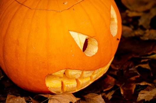 close-up view of a Halloween pumpkin photo