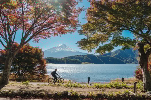 Mount Fuji view at Momiji Tunnel in Autumn season. Mt Fujisan in lake Kawaguchi, Yamanashi, Japan. Landmark for tourists attraction. Japan Travel, Destination, Vacation and Mount Fuji Day concept photo