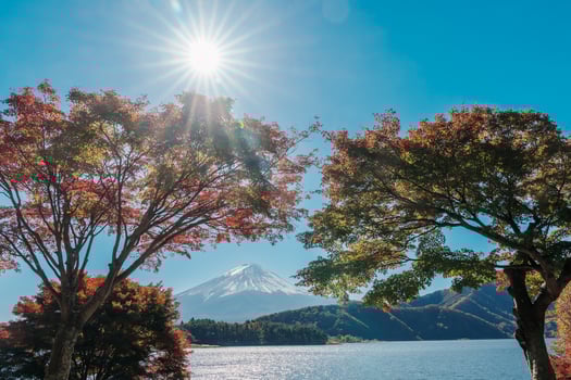 Mount Fuji view at Momiji Tunnel in Autumn season. Mt Fujisan in lake Kawaguchi, Yamanashi, Japan. Landmark for tourists attraction. Japan Travel, Destination, Vacation and Mount Fuji Day concept photo