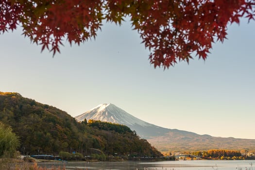 Mount Fuji view at Lake Kawaguchi in Autumn season. Mt Fujisan in Fujikawaguchiko, Yamanashi, Japan. Landmark for tourists attraction. Japan Travel, Destination, Vacation and Mount Fuji Day concept photo