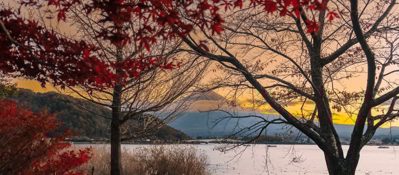 Mount Fuji view at Lake Kawaguchi in Autumn season. Mt Fujisan in Fujikawaguchiko, Yamanashi, Japan. Landmark for tourists attraction. Japan Travel, Destination, Vacation and Mount Fuji Day concept photo