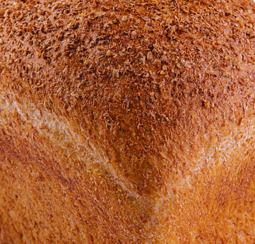 Close-up texture of freshly baked bread photo
