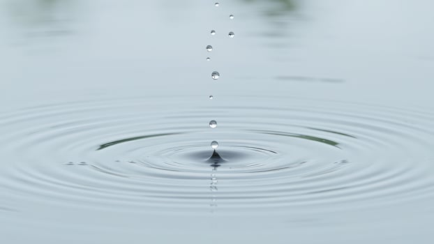 Water Droplet Creating Ripples in Still Water photo