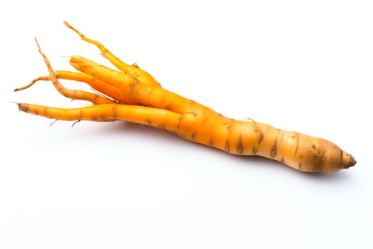 This is a photo of a ginseng root