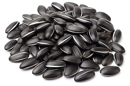 A pile of black oil sunflower seeds on a white background. photo