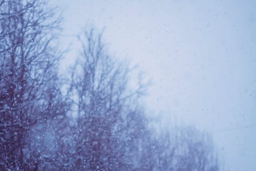 Blurred winter nature background. Snow overlay. photo