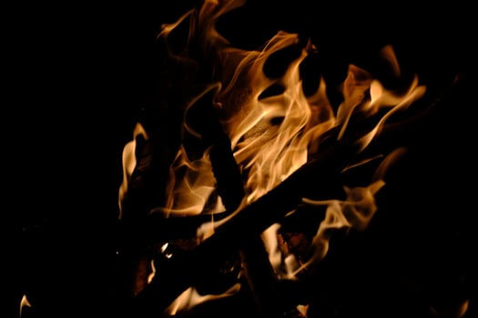 Orange flames close-up at night by the campfire photo