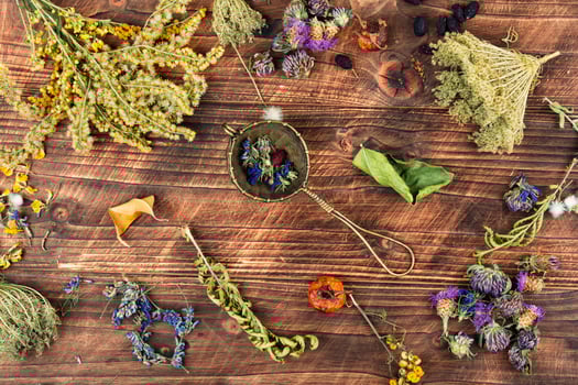 Dried herbs and flowers for herbal tea photo