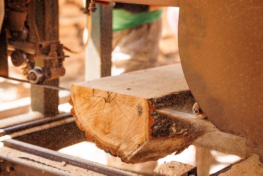 Close-up of sawing logs with a band saw at a sawmill photo