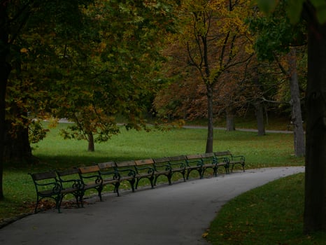 Benches in the shade of trees. Park Turkenschanzpark in Vienna in autumn photo
