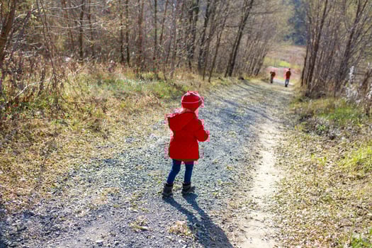 Young child in a red jacket exploring a gravel path through a wooded area during a sunny day in autumn photo