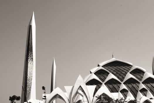 Black and white Landscape of the domes and minarets of Al-jabbar mosque. Textured Details. Wallpapers Backgrounds. Monochrome Photography Concepts photo