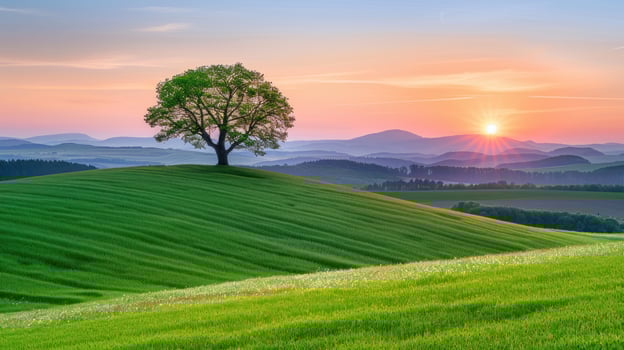 Solitary Tree on a Rolling Hill at Sunset photo