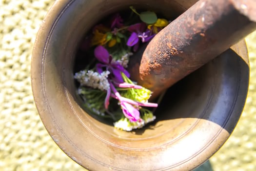 Medicinal herbs and flowers in a cooper mortar. photo