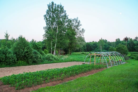Summer landscape in the countryside photo