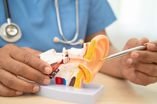Asian doctor holding human ear model to learn and treat hearing loss in patient. photo
