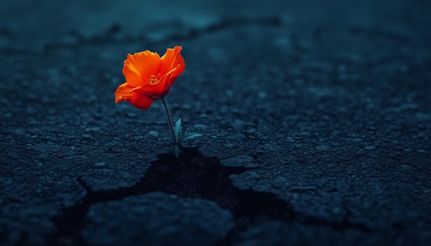 Focused on red flower sprout on darkness soil crack climate weather dramatic effect photo