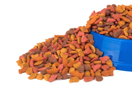 Pet food on white photo