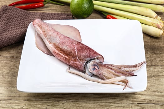 Raw fresh squid for cooking photo