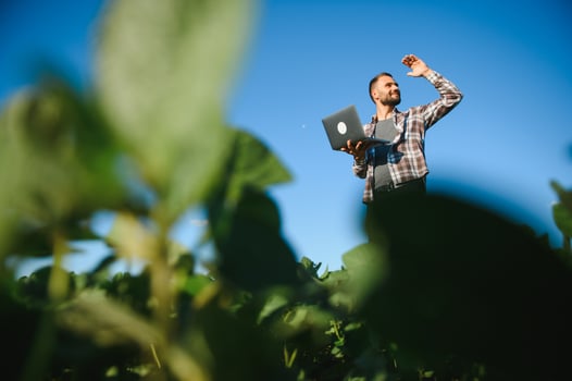 Agronomist inspecting soya bean crops growing in the farm field. Agriculture production concept. young agronomist examines soybean crop on field in summer. Farmer on soybean field photo