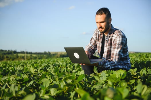 Young handsome agriculture engineer squatting in soybean field with laptop in hands in early summer photo