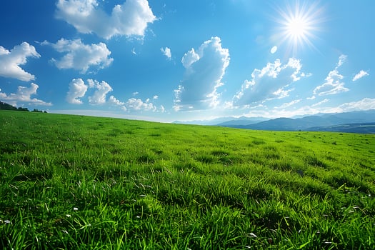 Sunny Day in a Vast Green Field with Blue Sky and Puffy Clouds photo