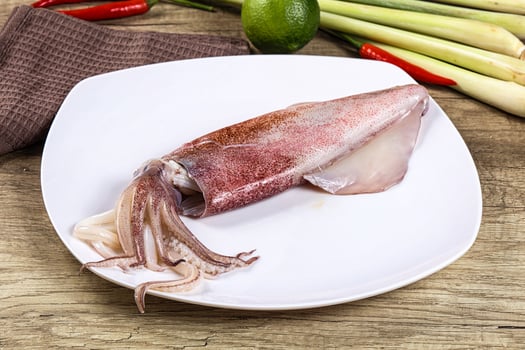 Raw fresh squid for cooking photo