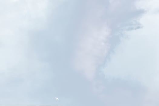 Clear Blue Sky with White Clouds photo