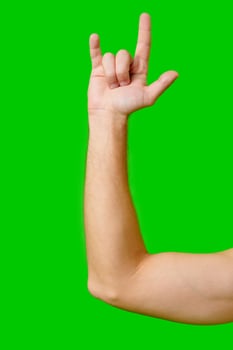 Person Making Hand Gesture Against Bright Green Background in Daylight photo