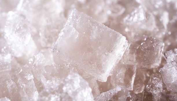 Sugar texture closeup macro white sugar cane tree photo