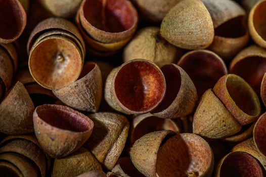 Eucalyptus seed pod caps as background photo