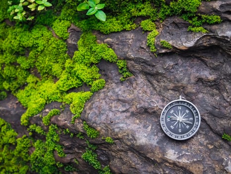Compass on the rock with green moss background. The concept of world tourism day, Searching the right directions and Travel photo