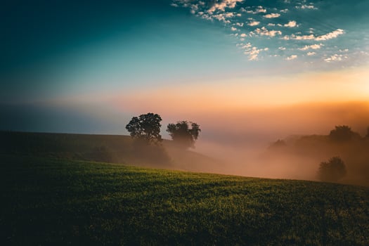 beautiful foggy morning photo