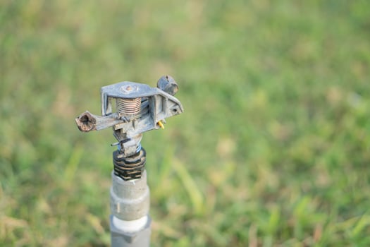 Sprinkler Head in Green Grass photo