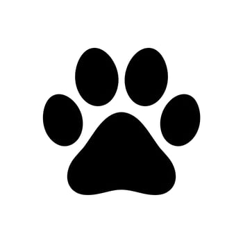 Symmetrical black paw print on a clean white background For Social Media Post Size photo