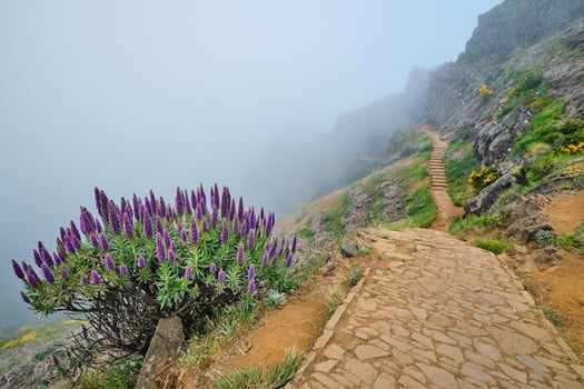 The hiking trail between Pico de Arieiro and Pico Ruivo in clouds, Madeira, Portugal photo