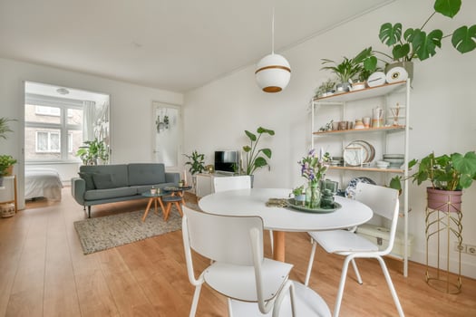 A living room with white furniture and plants photo