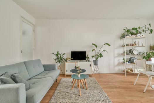 A living room with a couch, table and plants photo