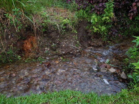 Small river with a green grass on the edge, flowing fast photo