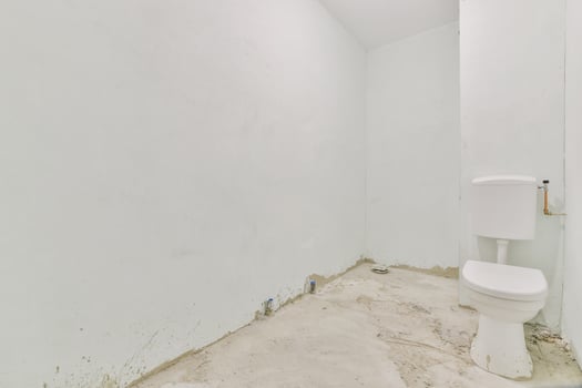 A white toilet in a bathroom with a wall photo