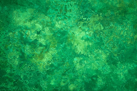 Abstract Green Plaster Wall Design photo