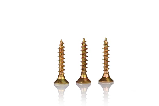 macro screw of golden color on a white background photo