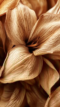 Dried lily flower blossom pattern repeat nature botanical farm photo