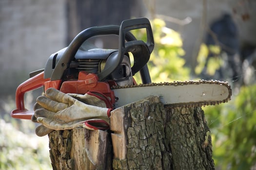 Chainsaw resting on a tree stump with work gloves in a sunny garden setting photo