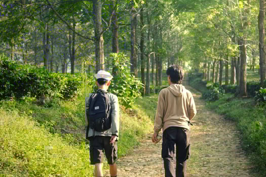 two young men walking on a path through a forest photo