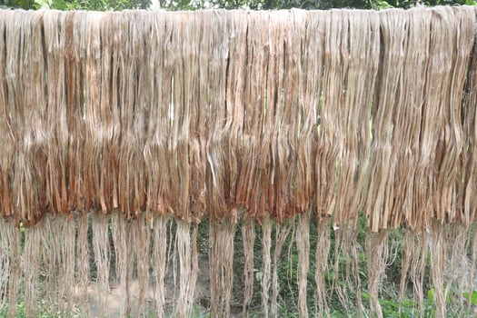 golden fiber jute and stick stock photo