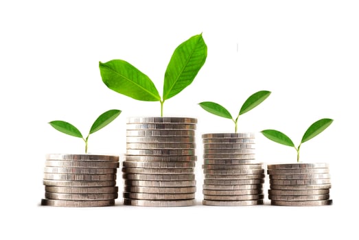 Green leaf plant on save money coins, Business finance saving banking investment concept. photo