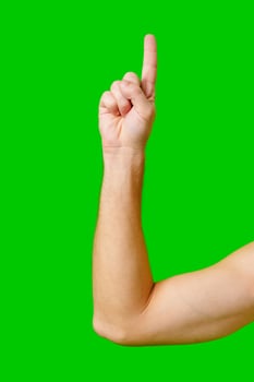 Person Raising Their Index Finger Against a Bright Green Background photo