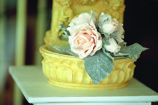 Flowers and plants close view with blurry background and soft focus, romantic mood background photo